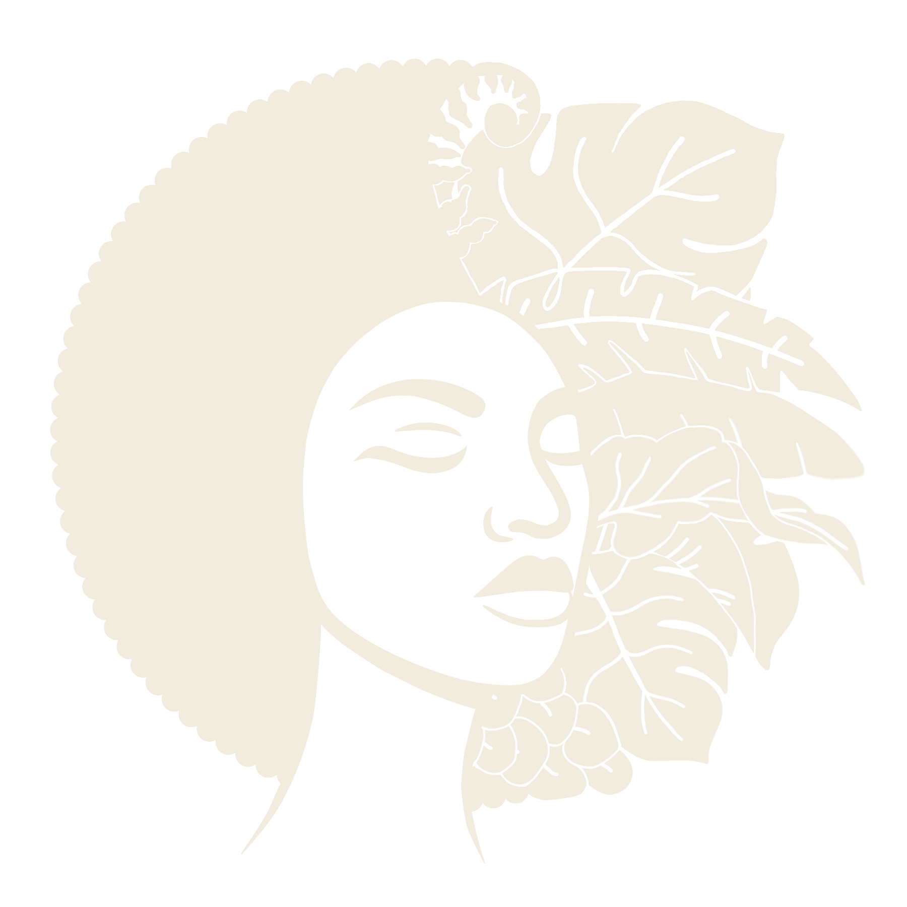 House of texture brand logo